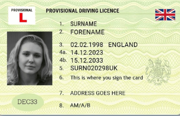 Provisional Driving Licence