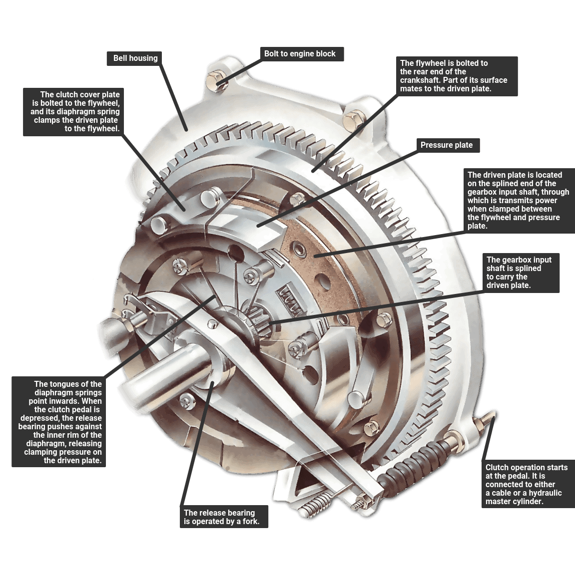 Cutaway diagram explaining how a manual clutch works, with labels for the flywheel, pressure plate, driven plate, diaphragm spring, release bearing, clutch fork, gearbox input shaft, and bell housing, illustrating how power is transmitted and released.